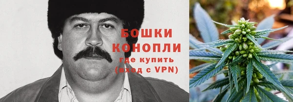 гидра Балахна