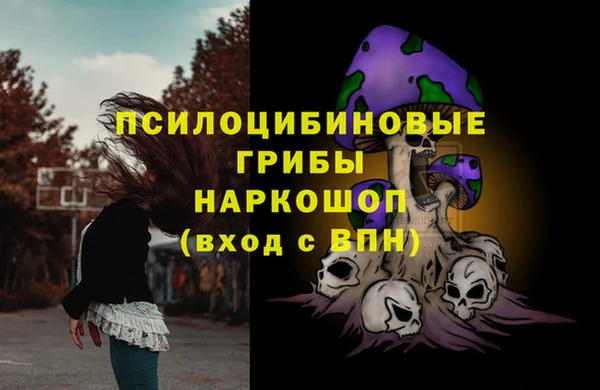 гидра Балахна