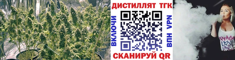 ТГК THC oil  купить закладку  Красновишерск 